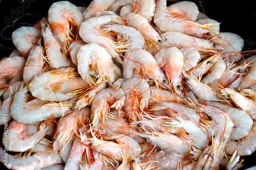 The Raw of shrimps © cbenjasuwan