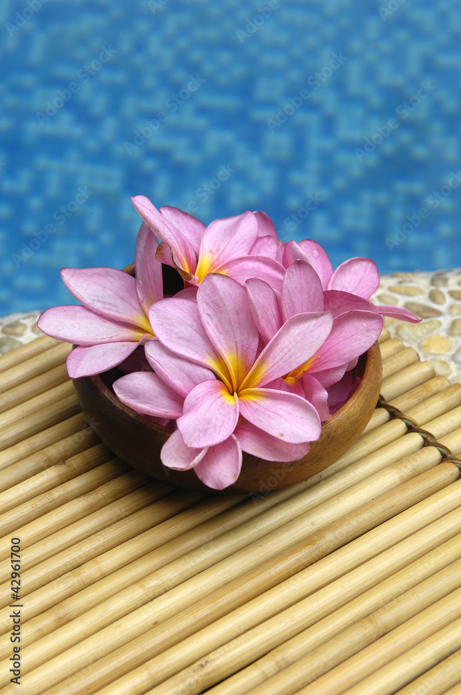 frangipani flowers in bowl on mat in the swimming pool frangipani flowers in bowl on mat in the swimming pool