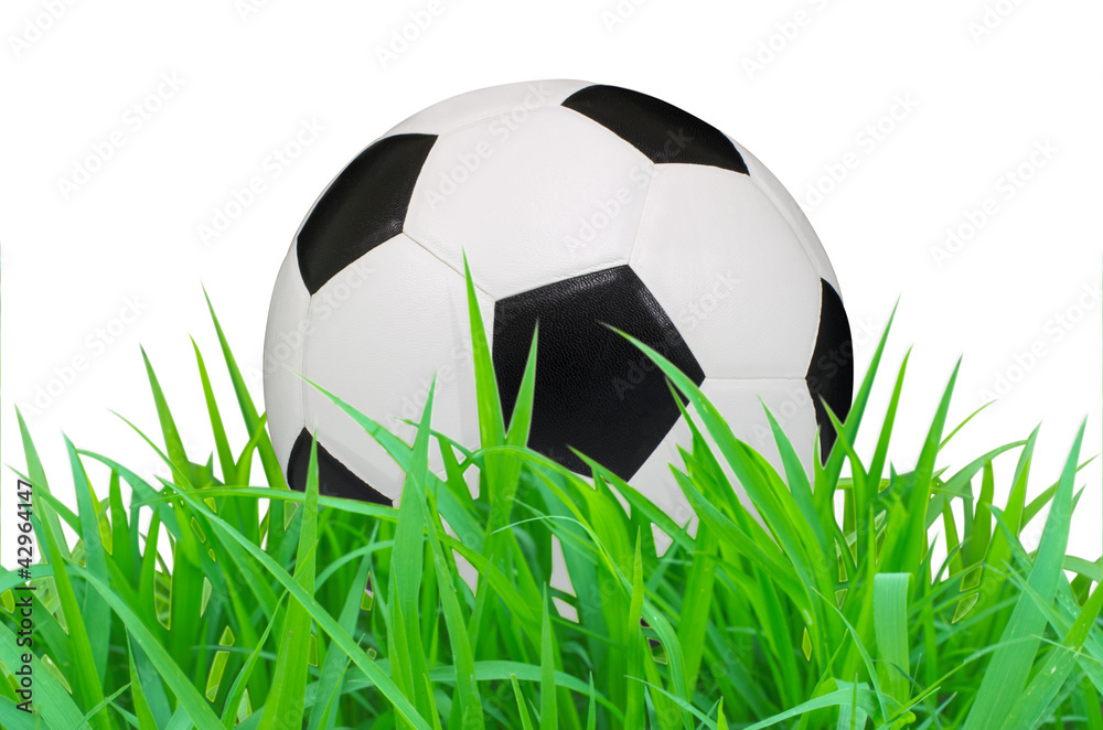 Fototapeta premium soccer ball on the green grass field