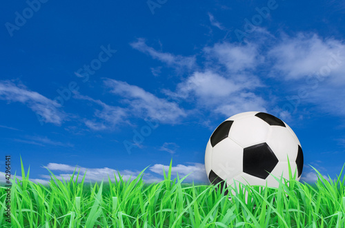 soccer ball on the green grass field