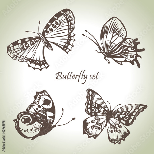 Set of butterfly. Hand drawn illustrations