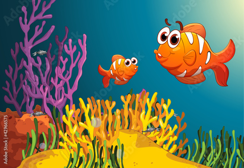 fish in a deep water