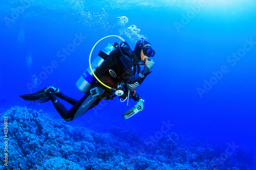 Fototapeta Naklejka Na Ścianę i Meble -  Diving in the Red Sea