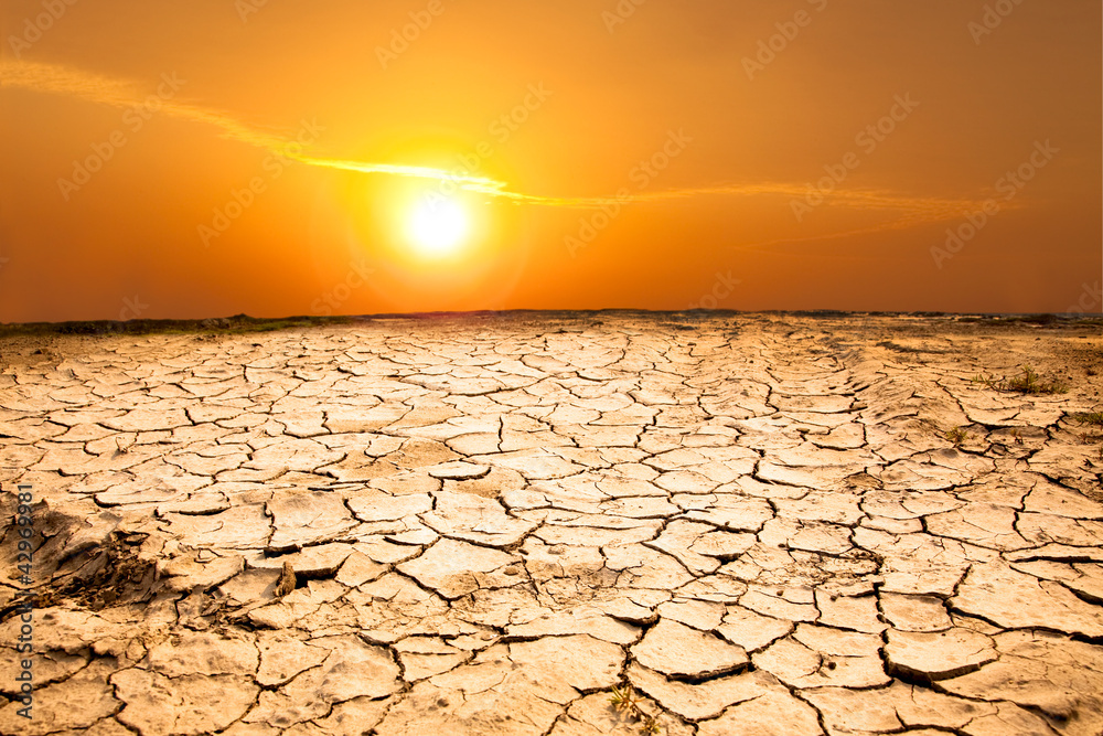 Naklejka premium drought land and hot weather
