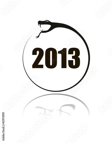 Snake sign 2013