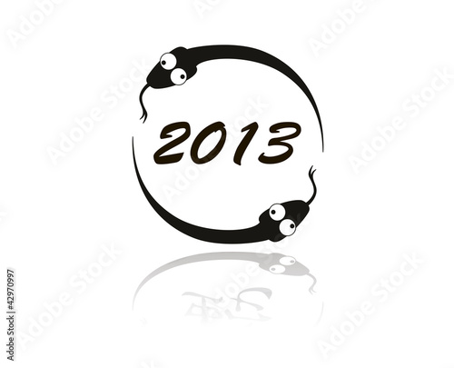 Snake sign 2013