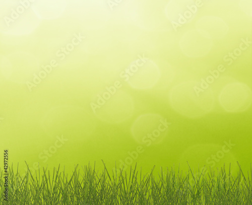 Abstract sunny concept