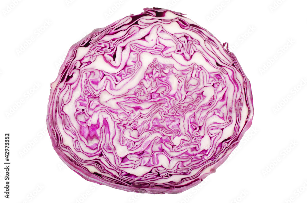 The red cabbage isolated The red cabbage isolated