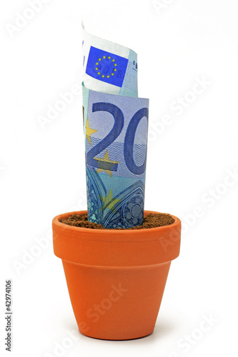 euro in blumentopf