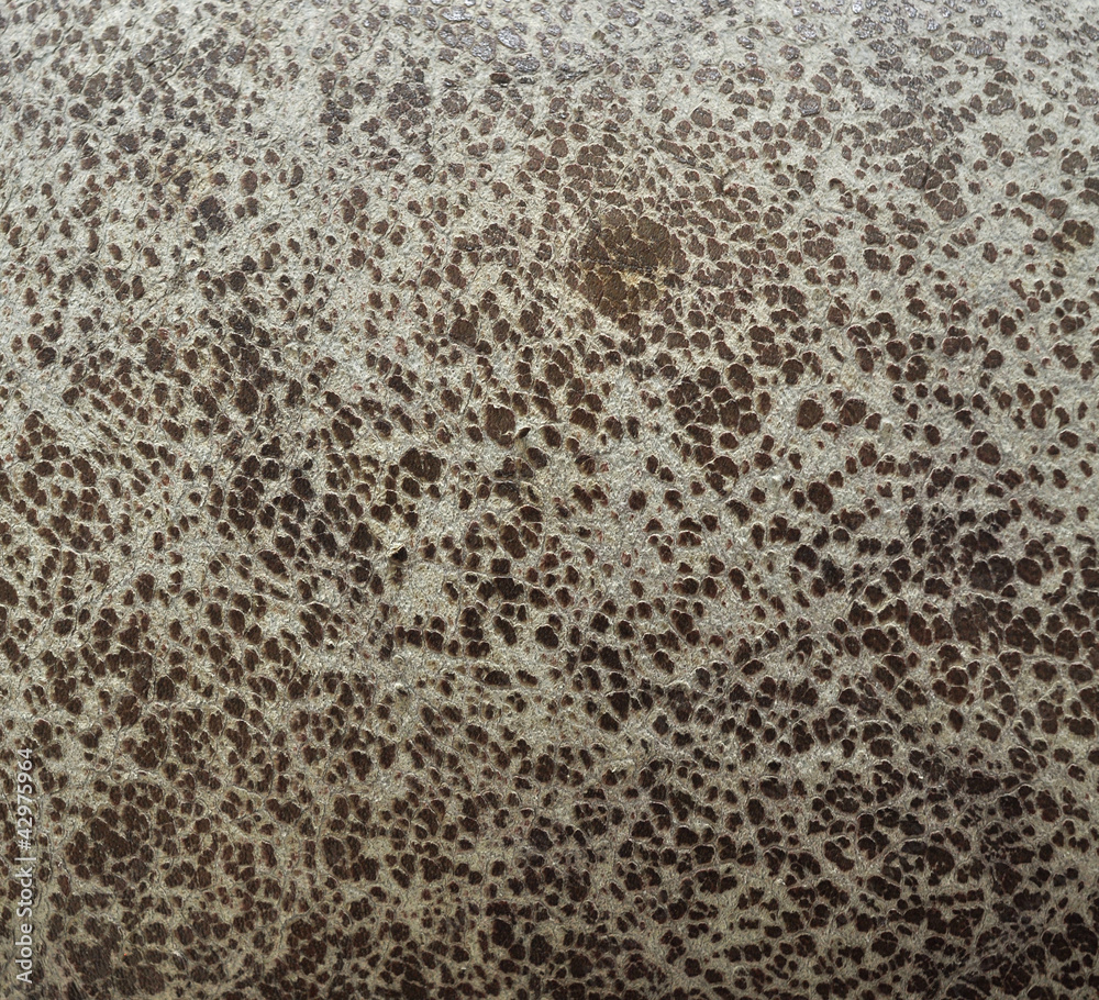 Obraz premium texture