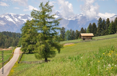 Südtirol photo