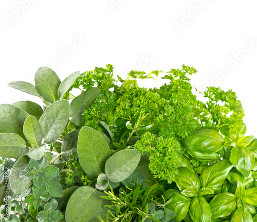 variety fresh herbs over white background