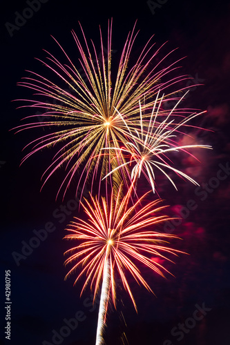 fireworks of various colors over night sky