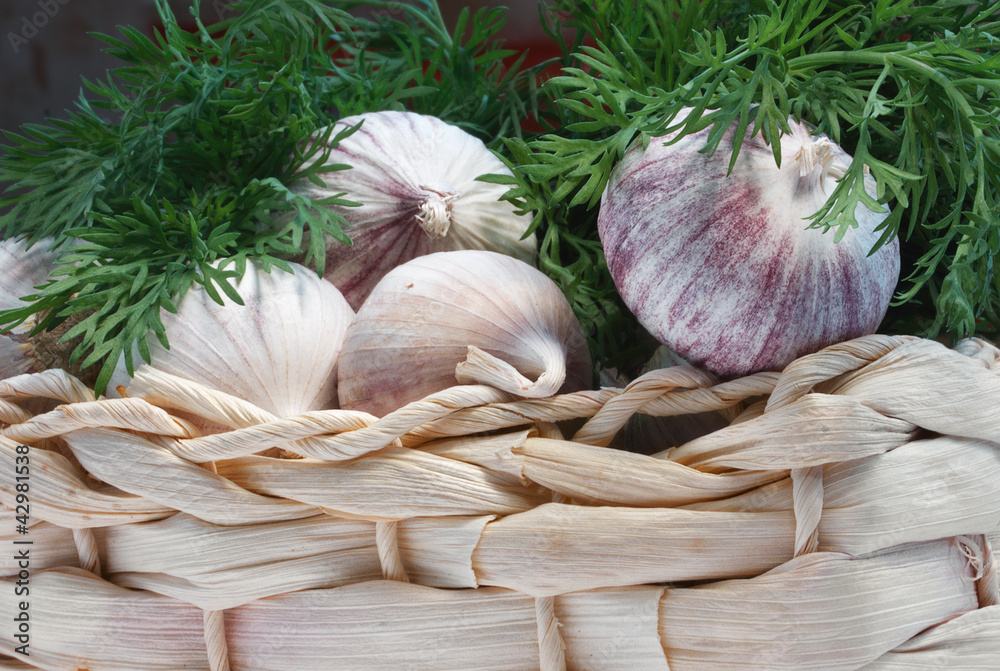 Garlic packed in a basket with dill