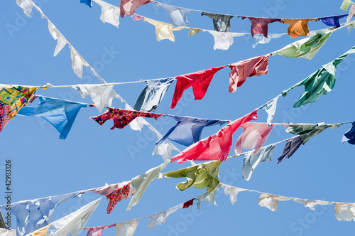 Multicolored shirts hanging