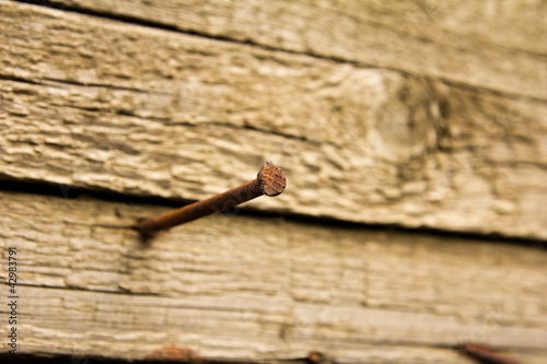 Rusty nail hammered into a wooden board, focus on a nail hat