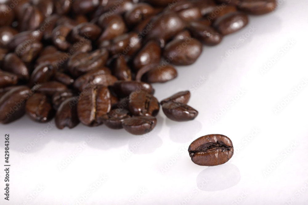 Fototapeta premium 120619-bean5