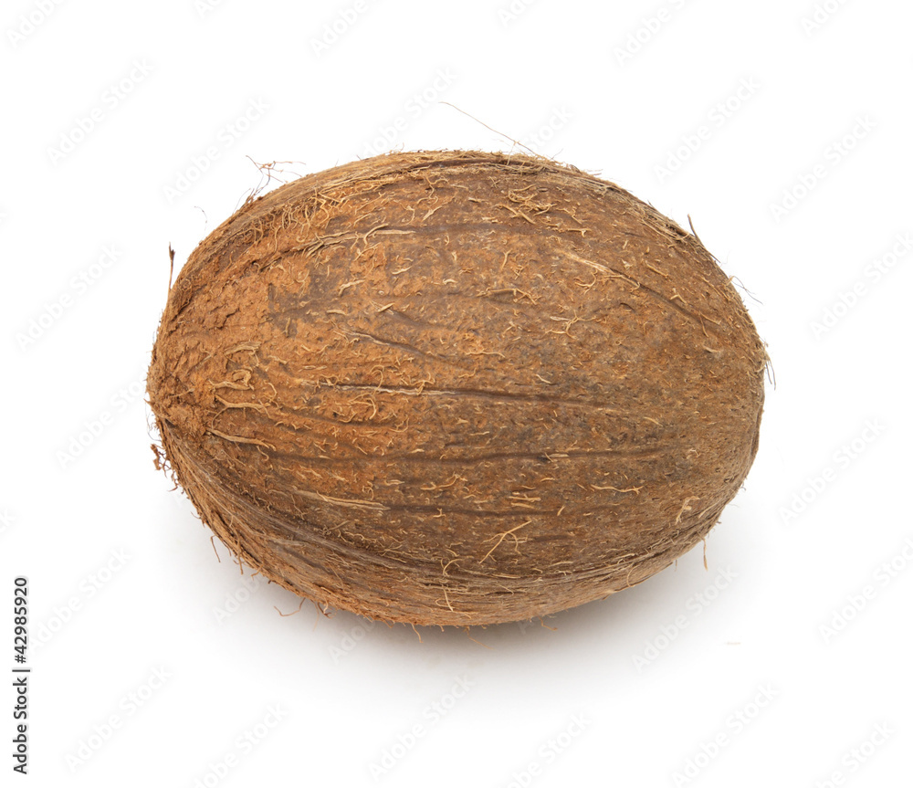 coconut on white background coconut on white background