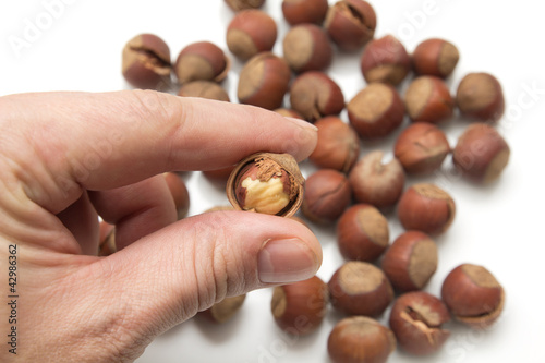 hazelnuts in hand on white background
