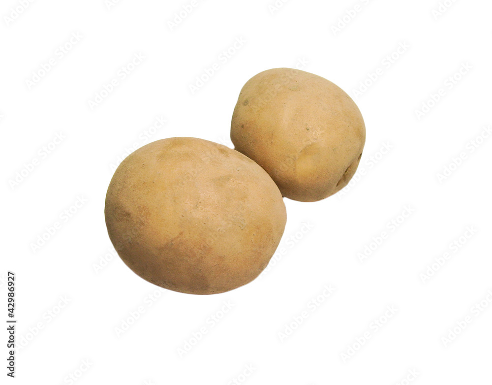 Two fresh potatoes isolated on white background