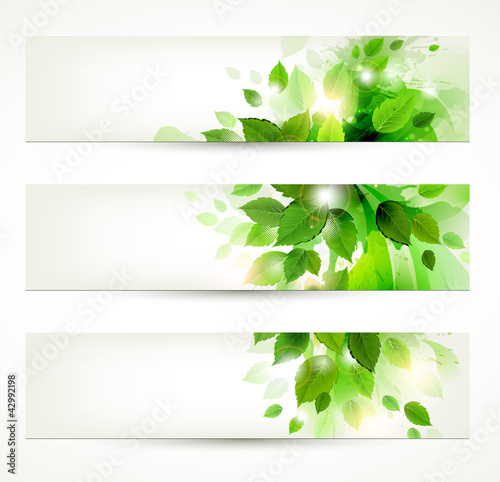set of three banners with fresh green leaves