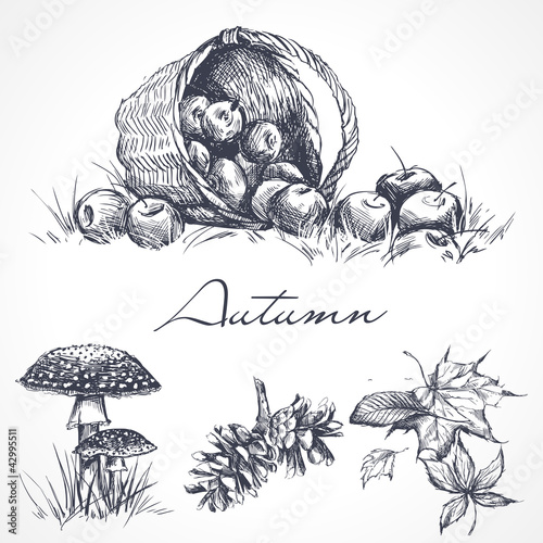 Autumn2