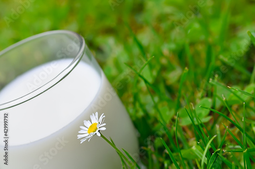 Obraz na plátně verre de lait,nature,bien-être,santé,herbe