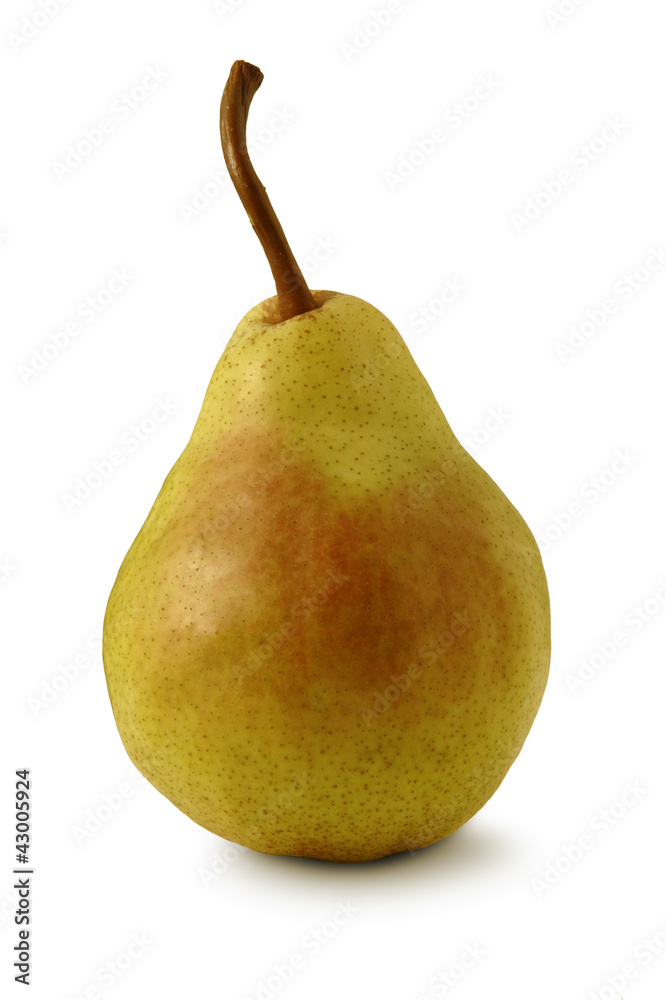 Pear, Green William Pear, Green William