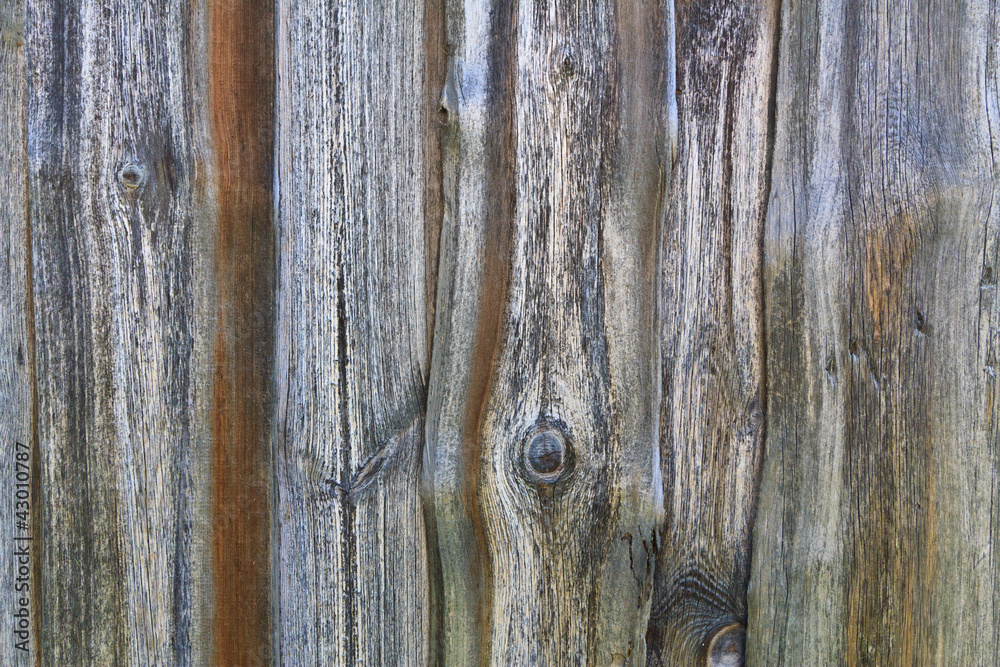Obraz premium Weathered wood planks