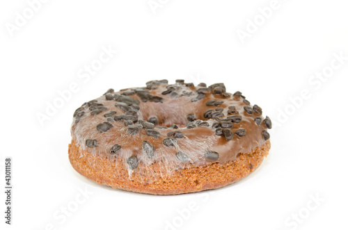 moldy donut photo