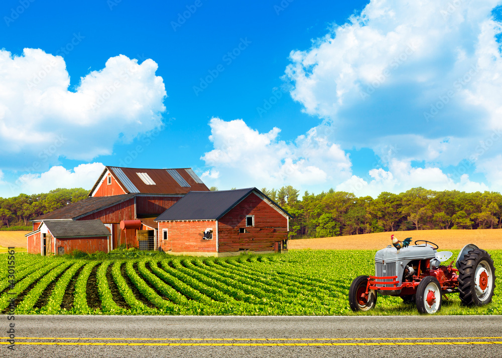 Naklejka premium Country Road With Farm And Tractor
