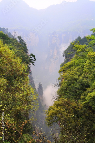 Mysterious Mountain Zhangjiajie. China is.