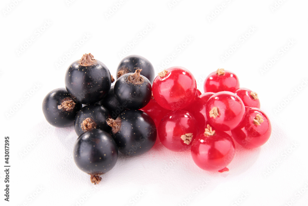 black and red currant black and red currant