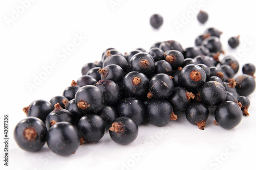 isolated blackcurrant