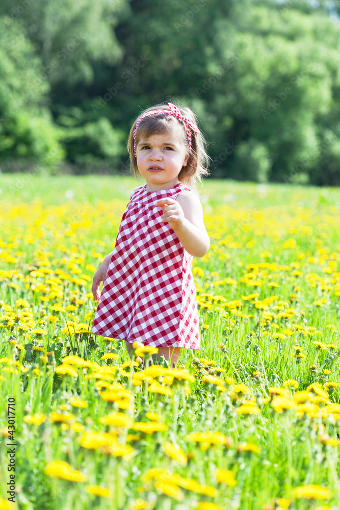 little girl on a glade with dandelions little girl on a glade with dandelions