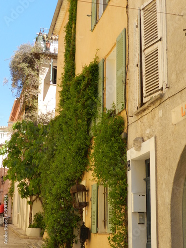 rue