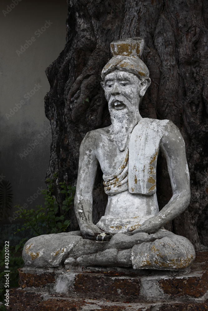 Obraz premium hermit meditating under tree