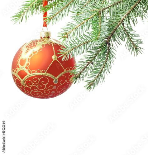 Christmas red luxury ball isolated and branch of tree