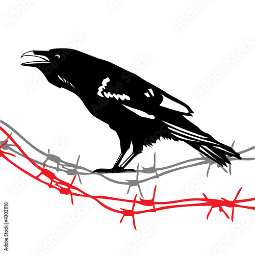 Raven Crow