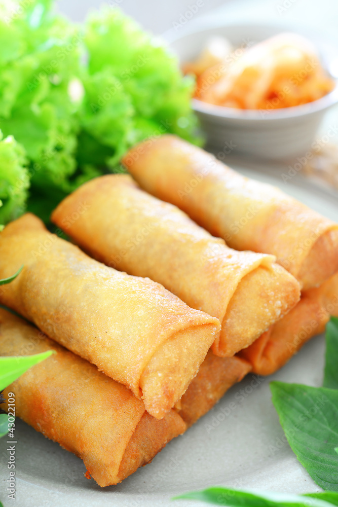 spring rolls spring rolls