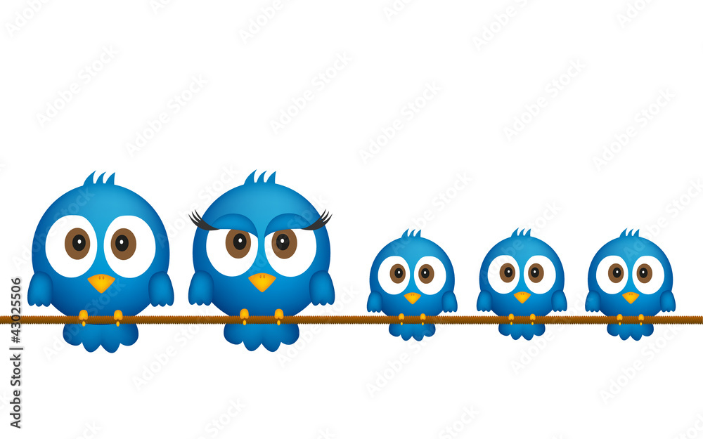 Blue birds family Blue birds family