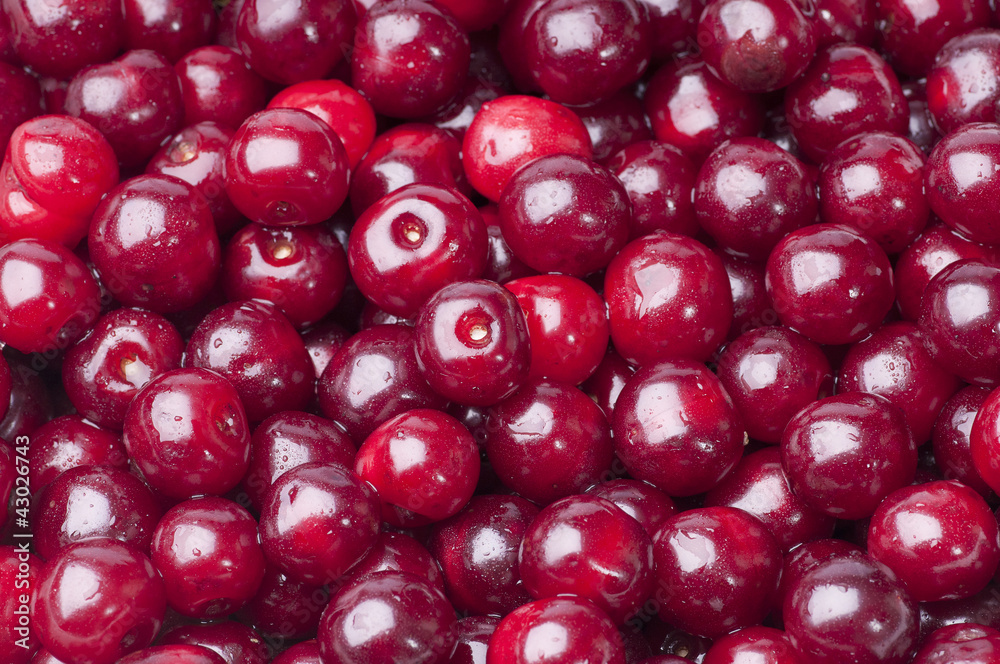 Cherry