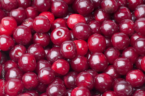 Obraz na płótnie Cherry w salonie