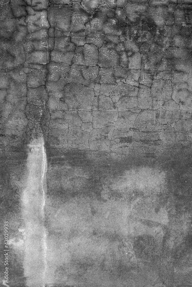 Fragment of a grey concrete wall may be used as background.