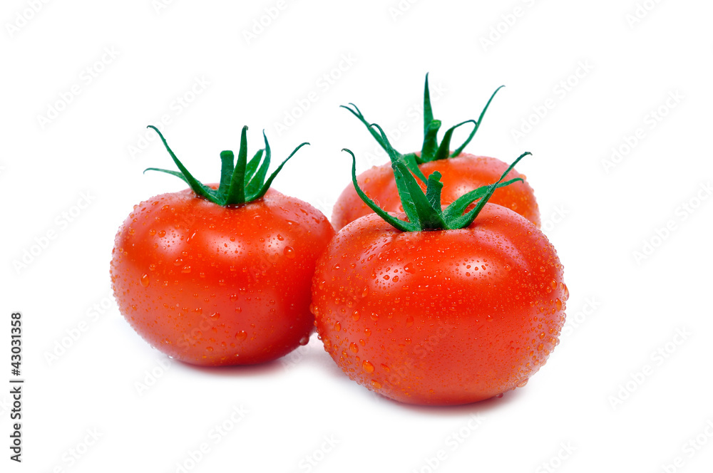 tomatos tomatos