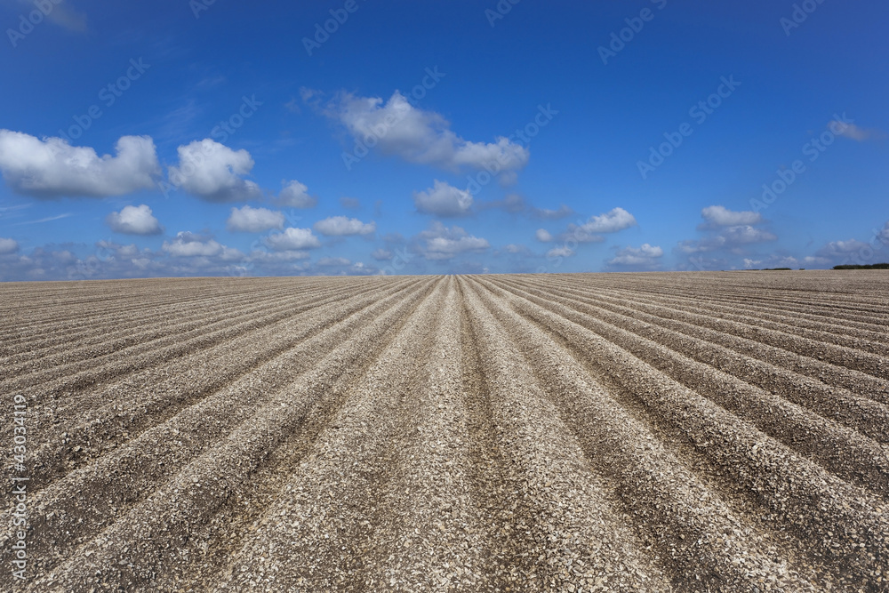 chalk soil pattern and textures