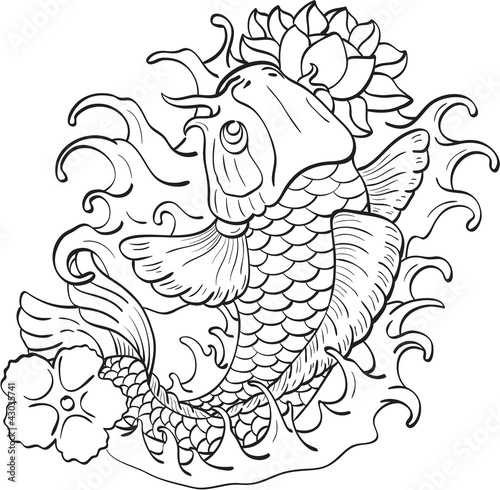 Koi and lotus isolated on white