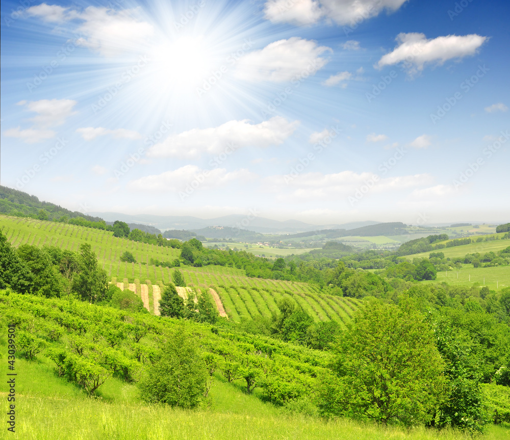 Spring landscape in the national park Sumava - Czech Republic Spring landscape in the national park Sumava - Czech Republic