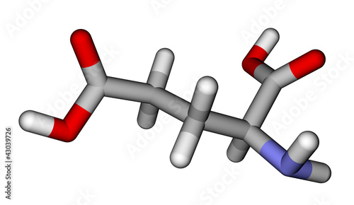 Amino acid glutamic acid molecular model