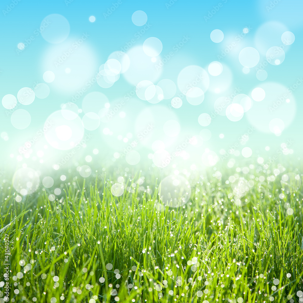 Abstract nature background with grass and sky bokeh lights Abstract nature background with grass and sky bokeh lights